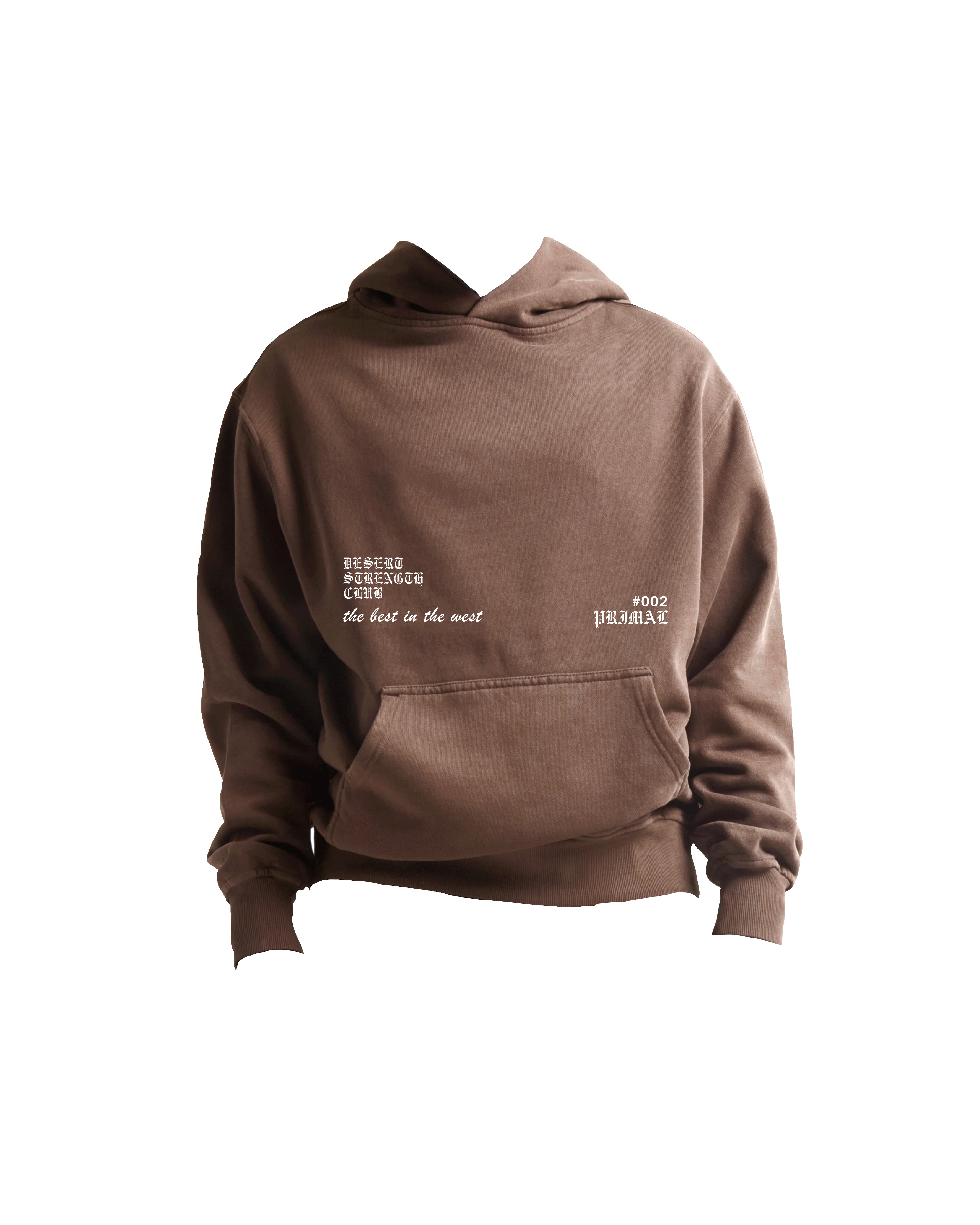 Desert Strength Hoodie #002