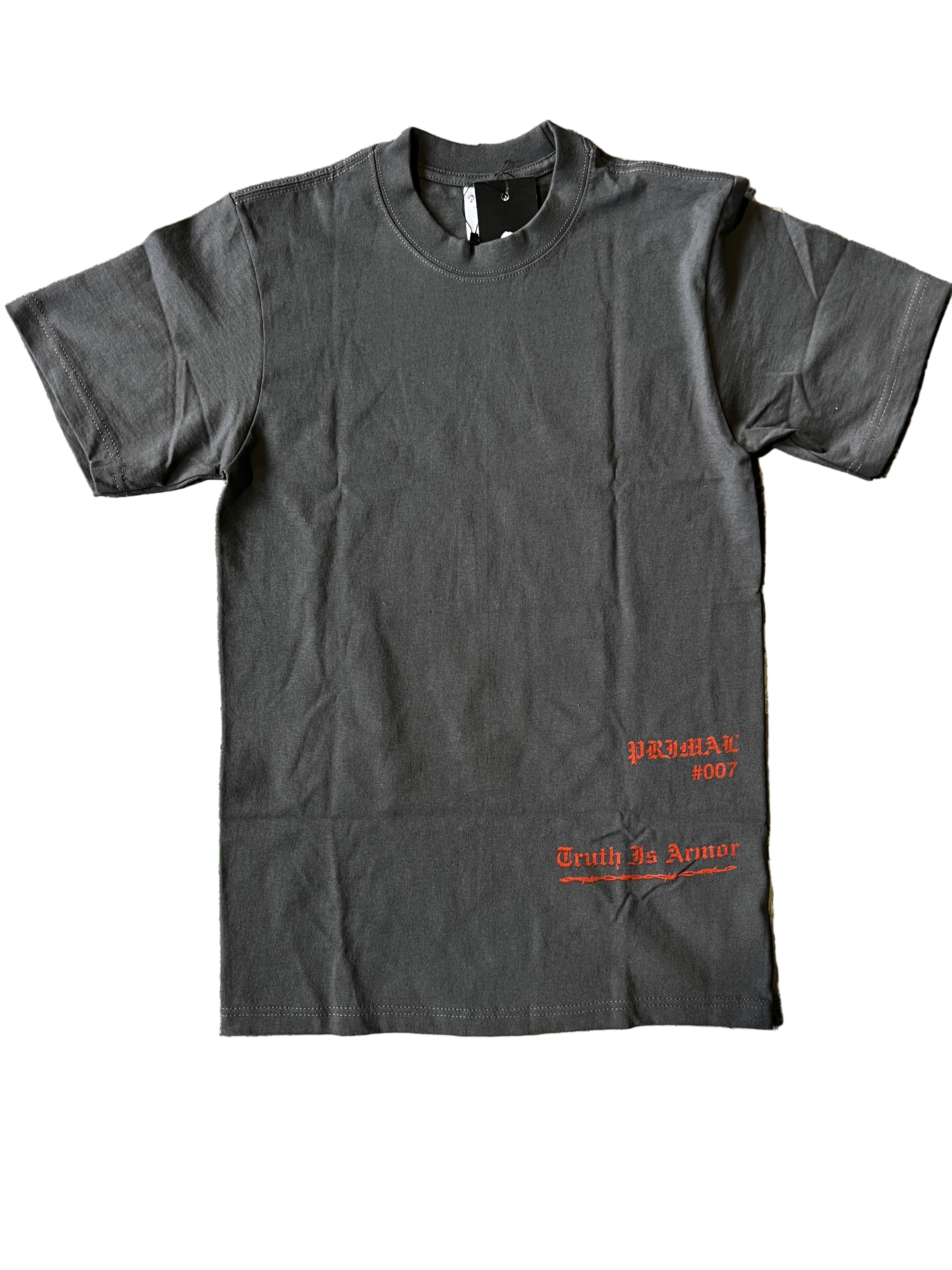 Truth Is Armor - #007